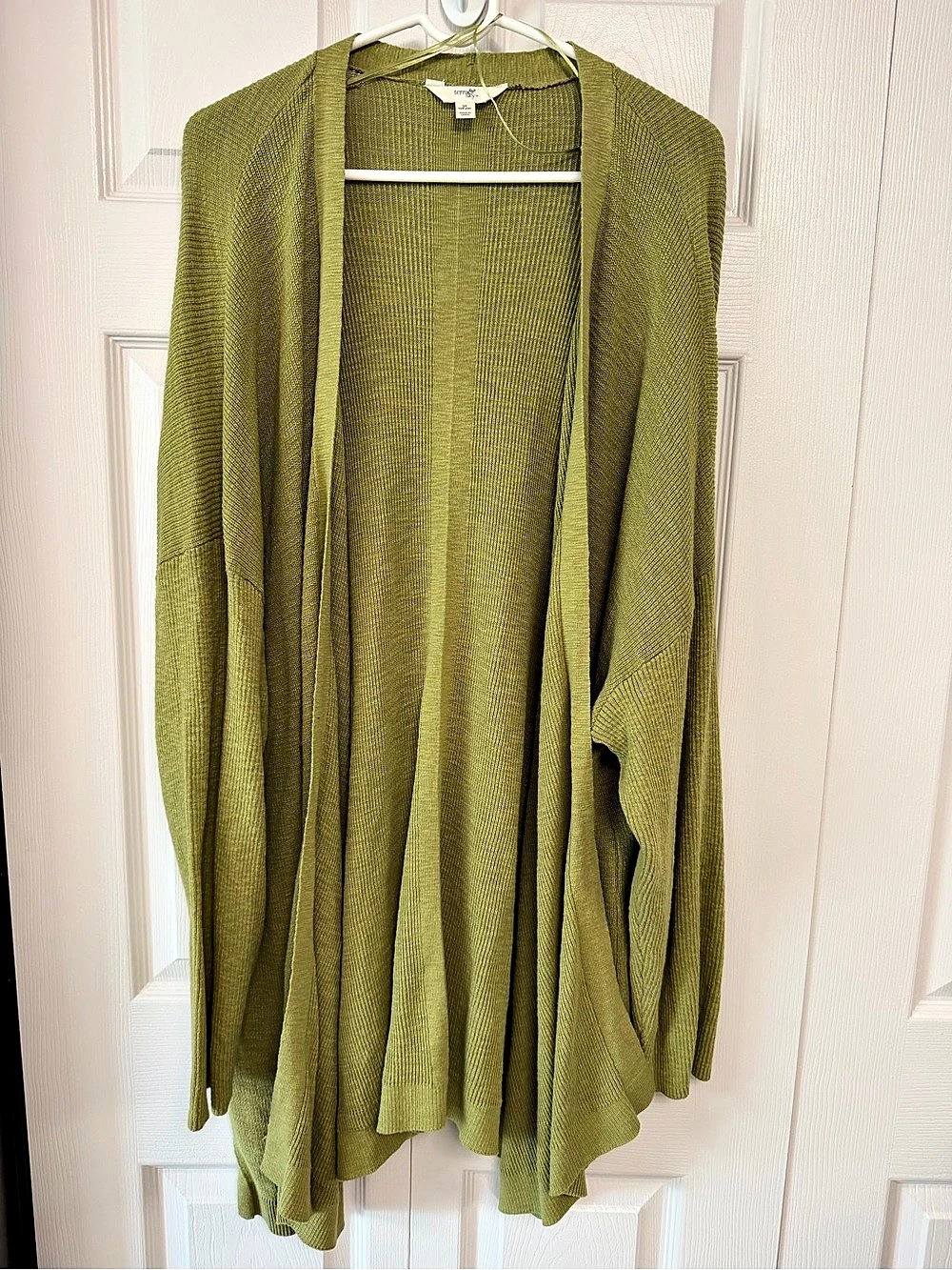 Terra & Sky Open Front Cardigan in Green.